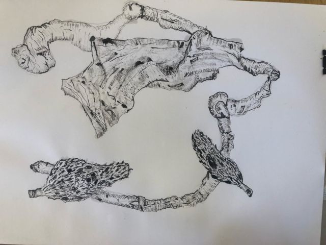 Ink and bamboo pen drawings from organic objects in the Thursday drawing class. Enrolments open soon for Term 2. #artclasssydney #inkdrawings #drawingclass