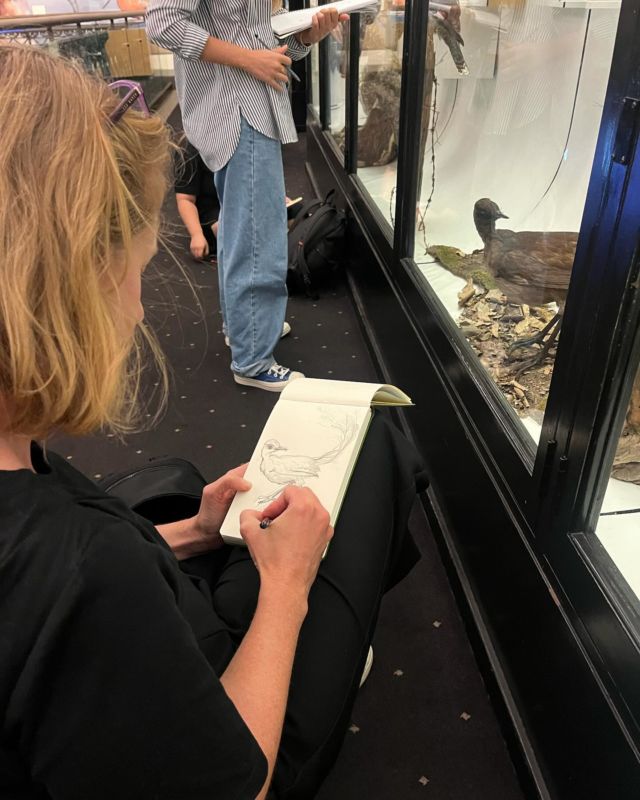 Fun evening and morning @australianmuseum drawing birds for our upcoming project. #artclasssydney #drawing #sketching #drawingbirds #adultartclass